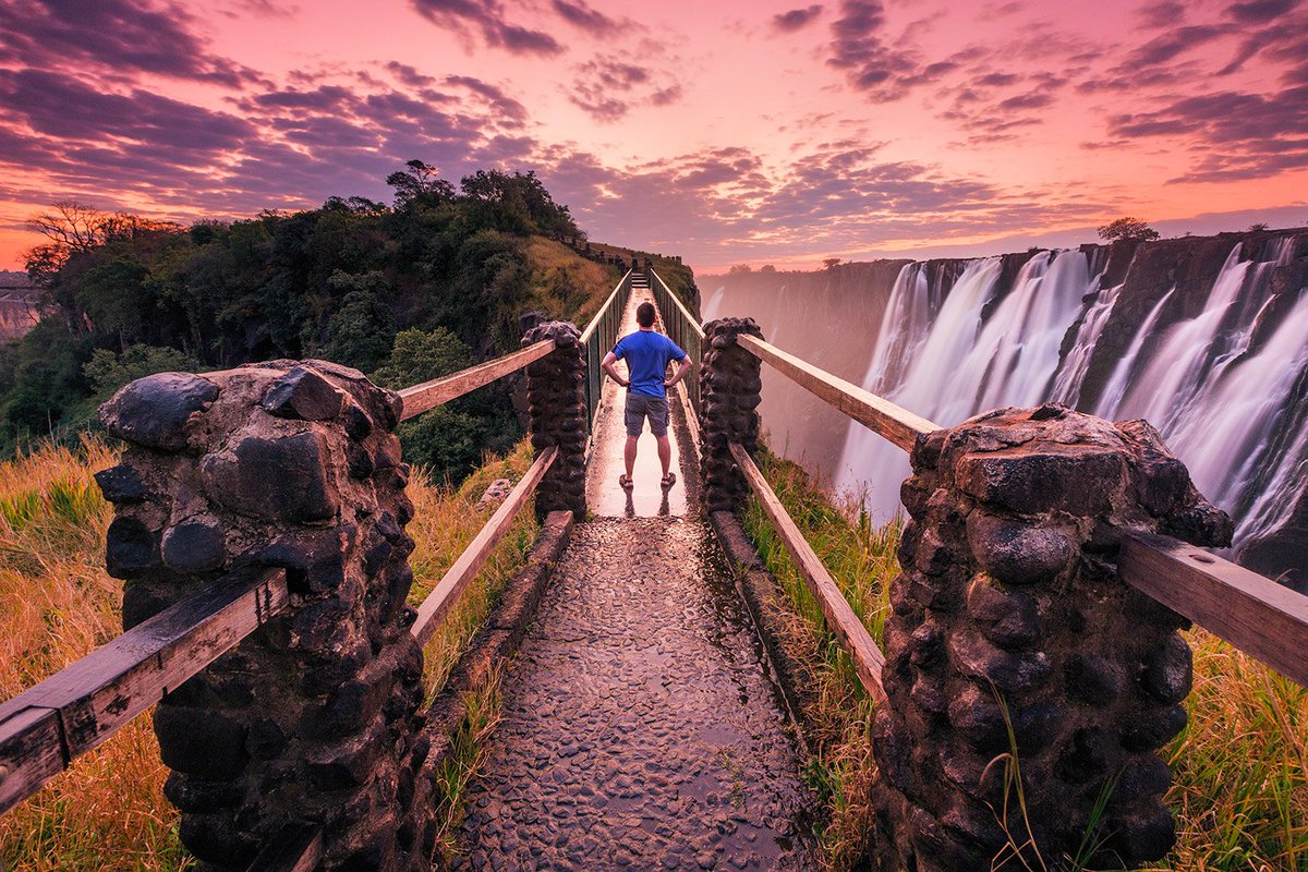 white metal bridge under blue sky during daytime