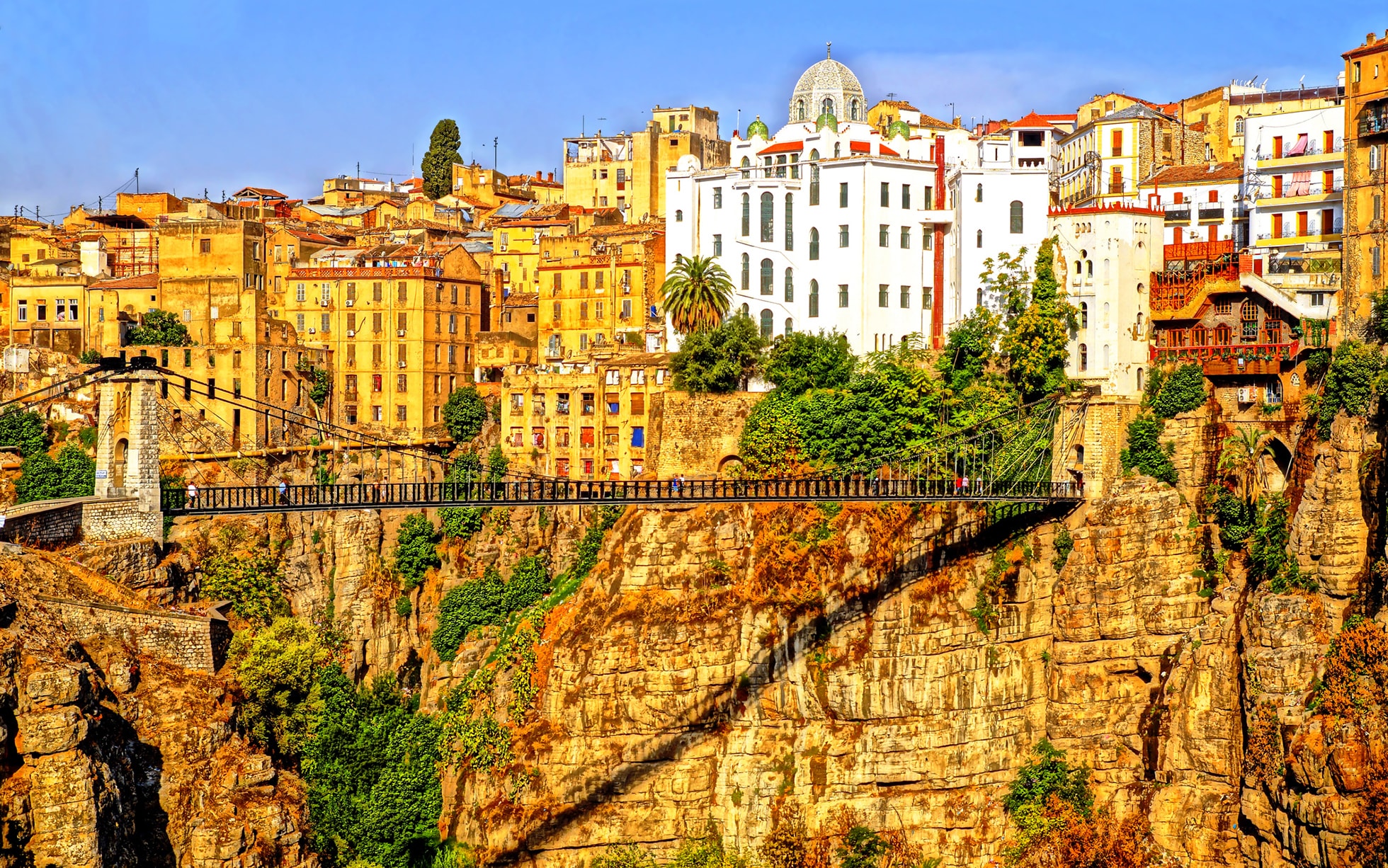 white metal bridge under blue sky during daytime