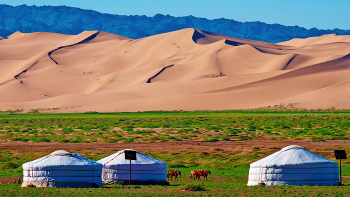 white metal bridge under blue sky during daytime
