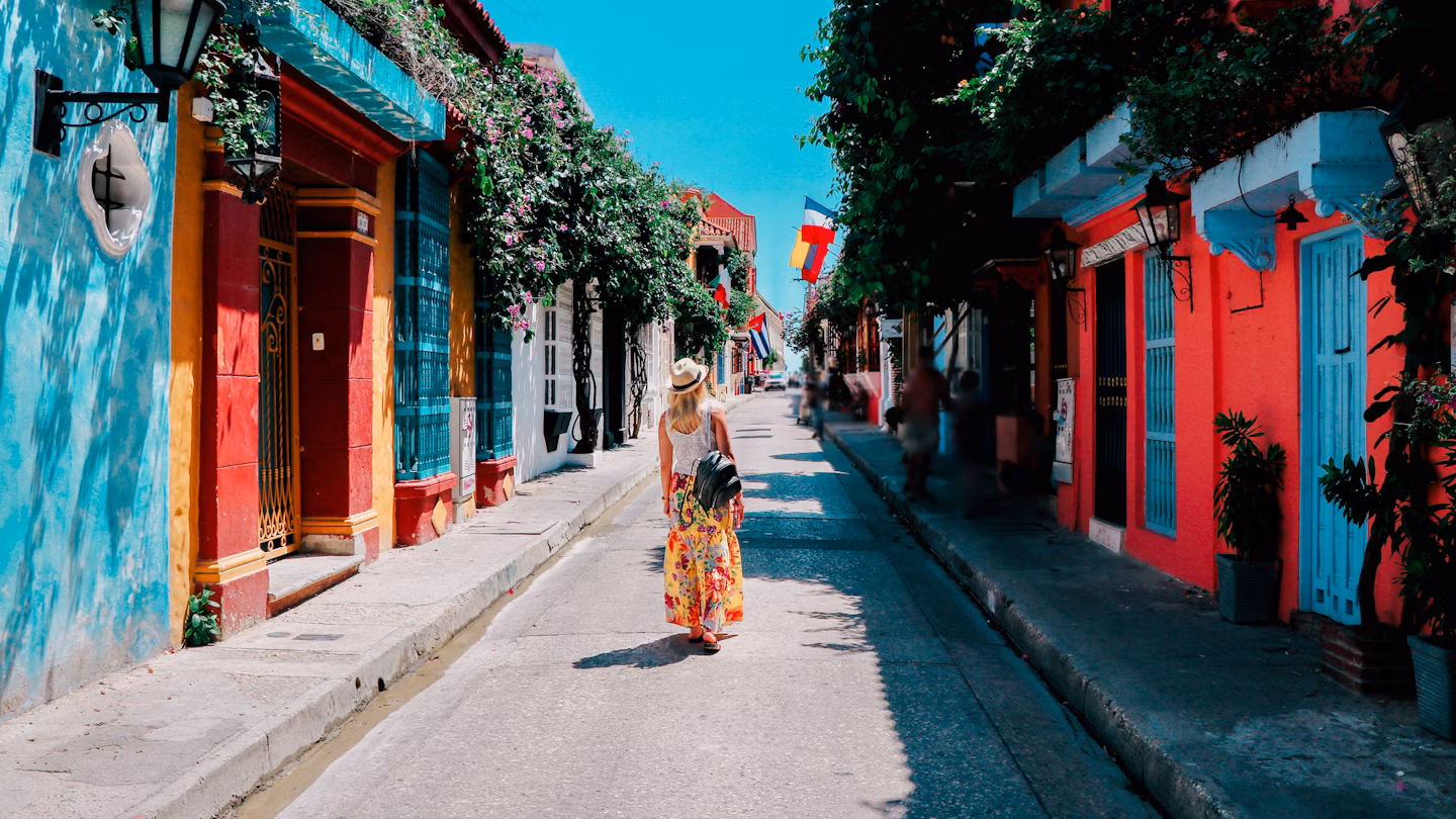 white metal bridge under blue sky during daytime